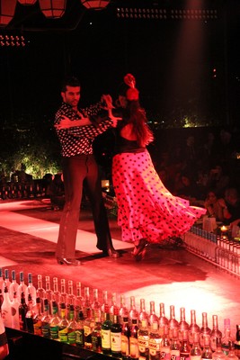 SIDC Fundraising Event (part 1)